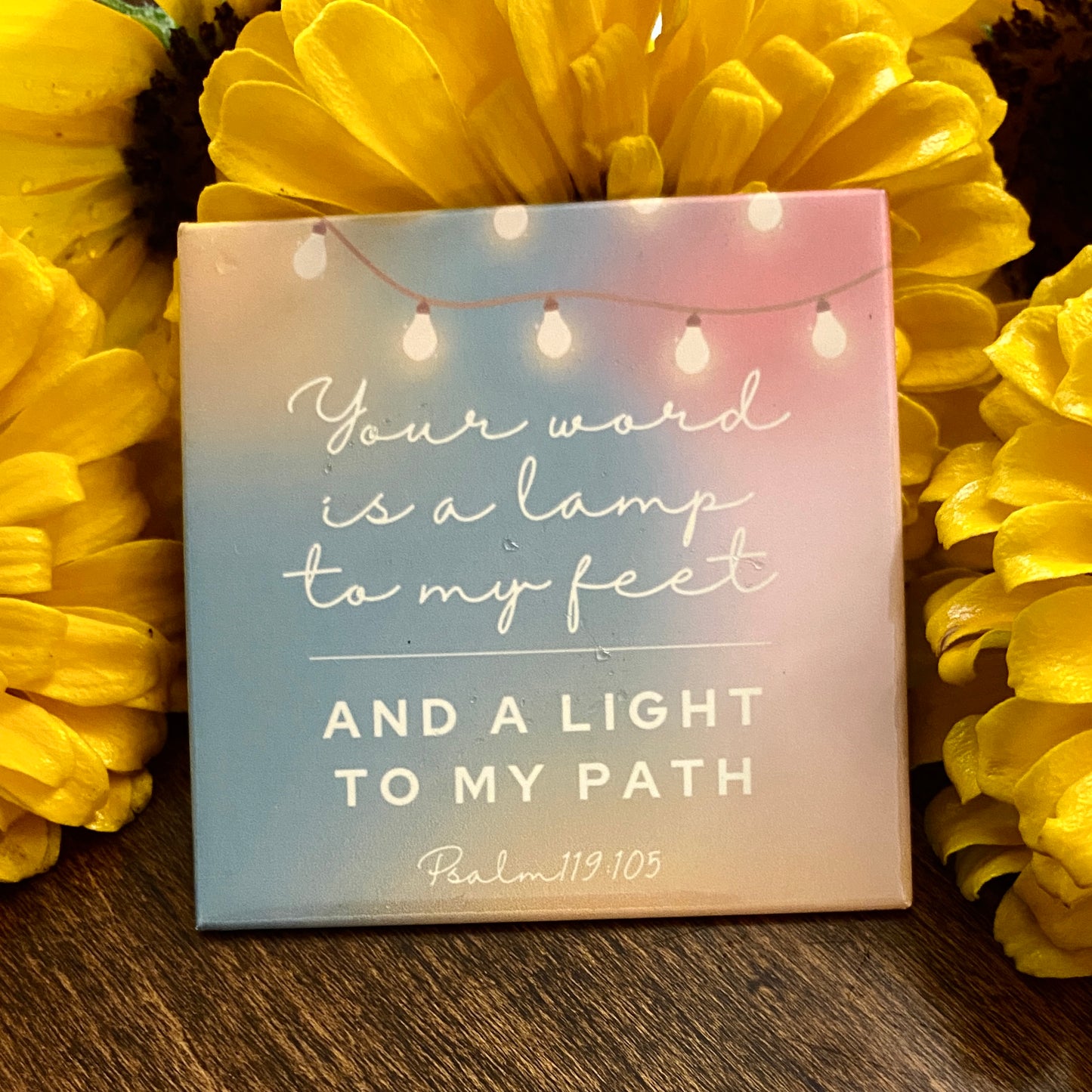 "Guide" Set of 3 Magnets
